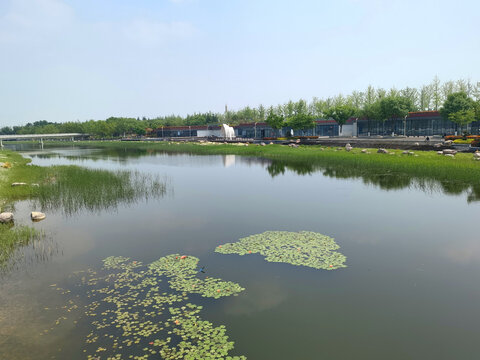 城市公园
