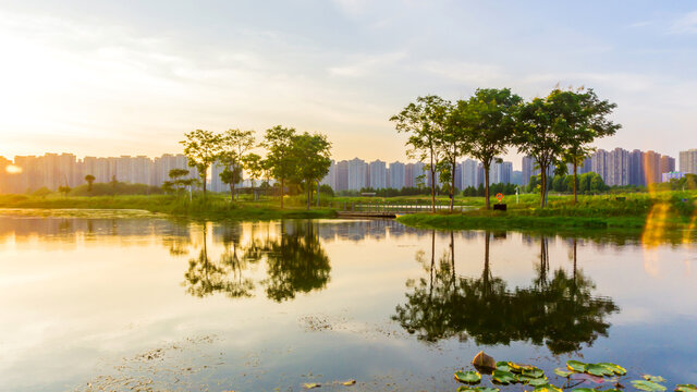 体育公园夕阳