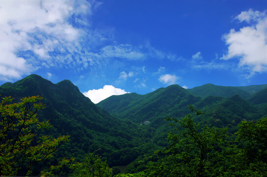 青城第一峰绝顶