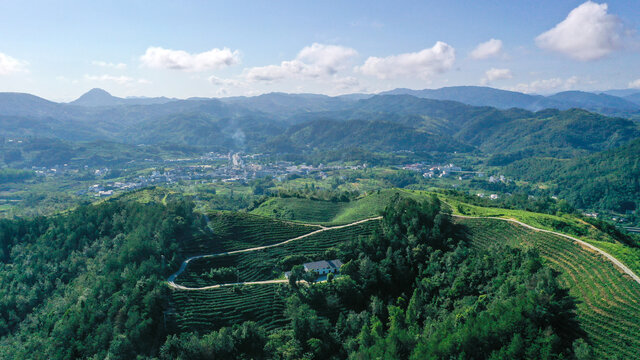 县河茶场全景