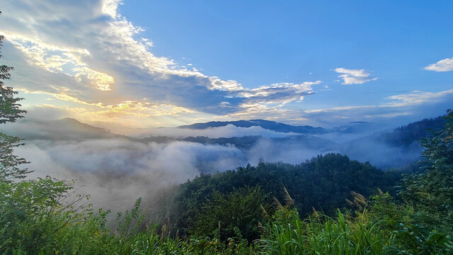 县河风光秀景