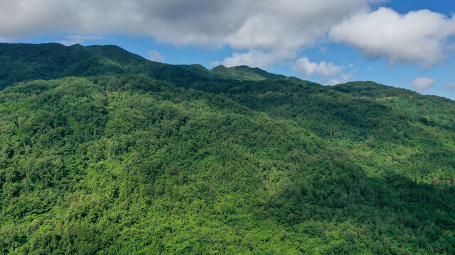 黑山林场航拍