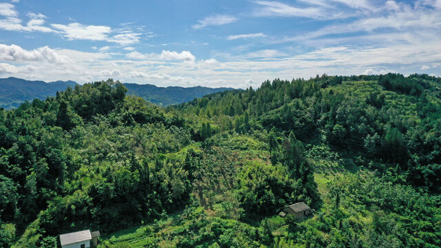 漆树湾