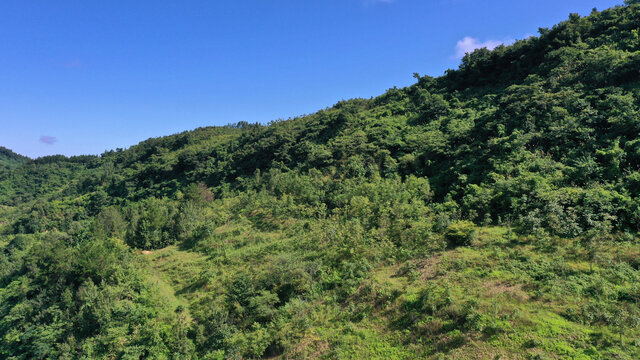 漆树基地航拍