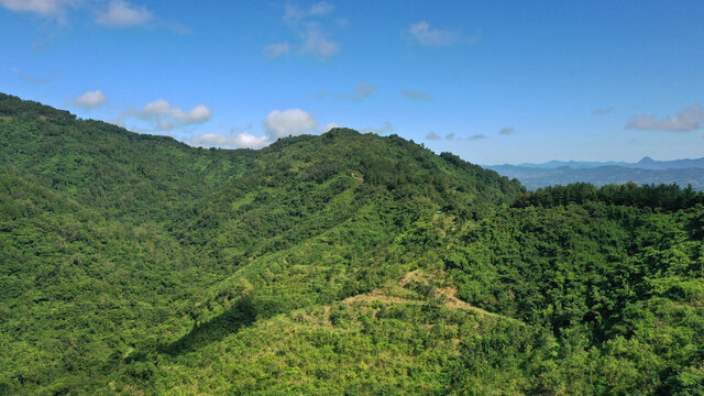 秦巴山川