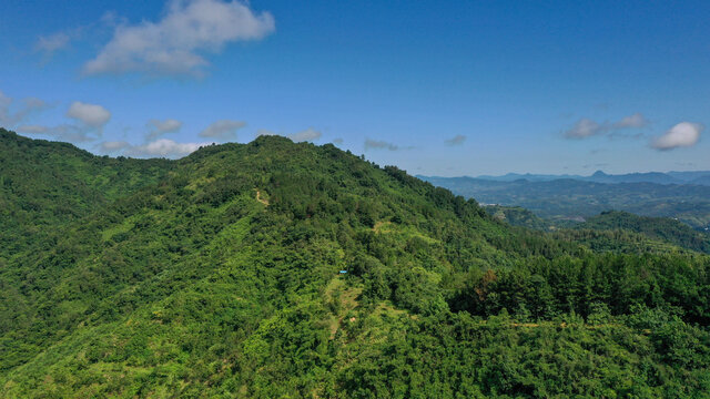 青山绿水