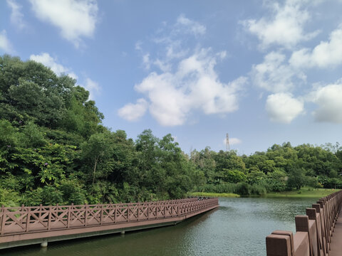 湖边