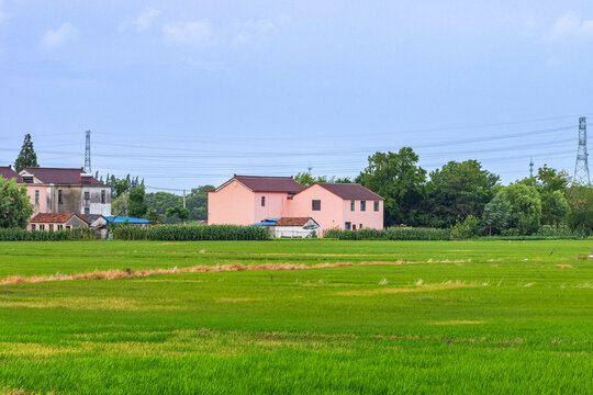 江南乡村自然风光