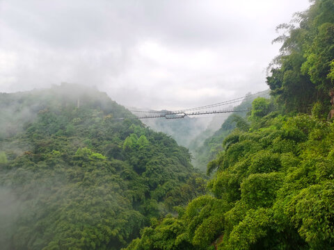 川西竹海