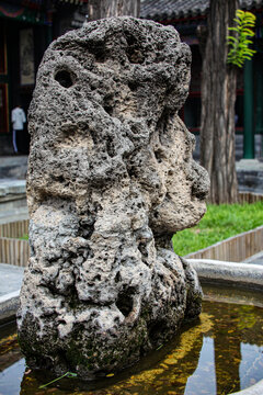 吸水石