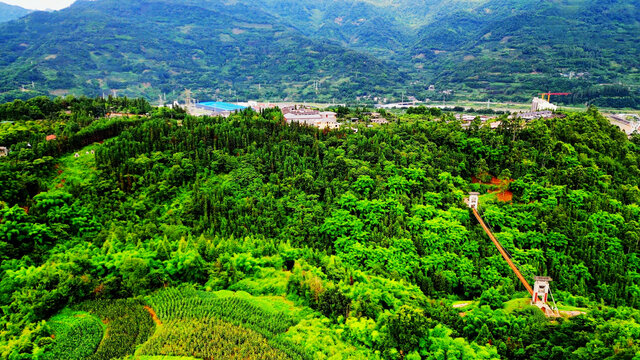 兰家山公园森林吊桥