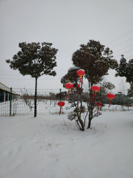 雪景