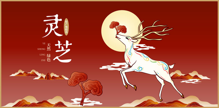 灵芝包装