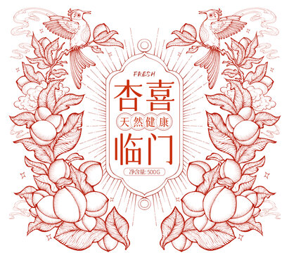 原创杏喜临门杏子包装高端礼盒