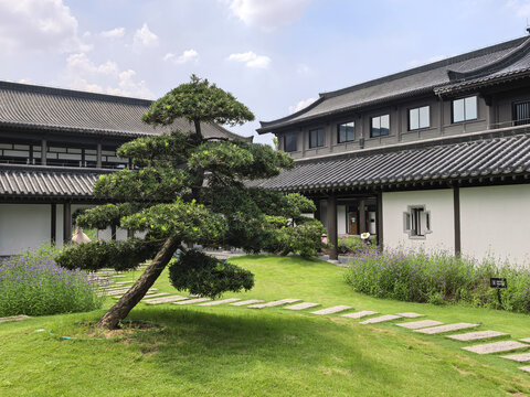 古风建筑广州文化馆广州旅游