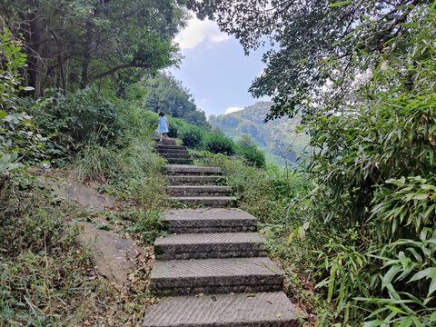 西湖龙井山园十里琅珰爬山