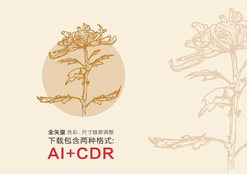 菊花秋菊