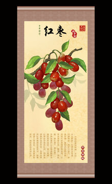 红枣插画