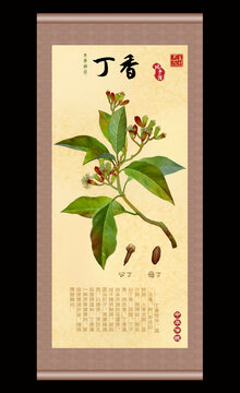 丁香插画