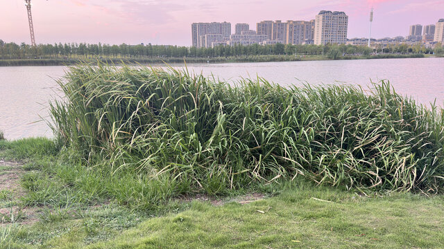 湖水风景