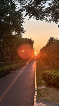 夕阳西下