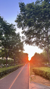 阳光跑道