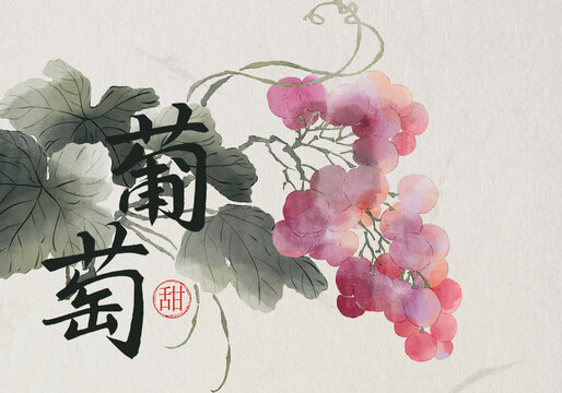 葡萄包装设计