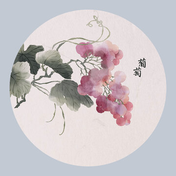 手绘葡萄