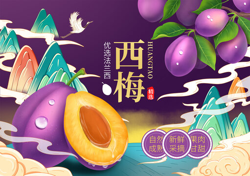 西梅插画