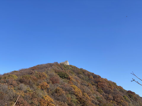 九眼楼