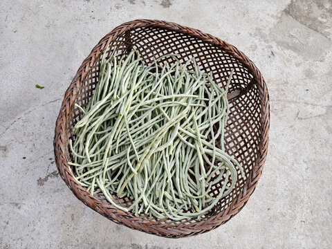 竹篮子里的长豆角