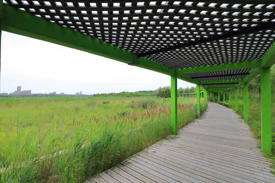 吉林省大安市嫩江湾国家湿地公园