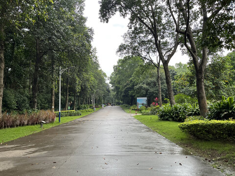 走进广东湿地公园领略自然魅力