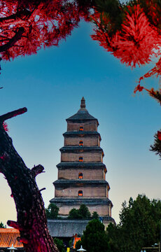 大雁塔
