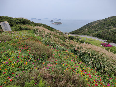 海岛舟山花鸟岛群岛海岸线风光