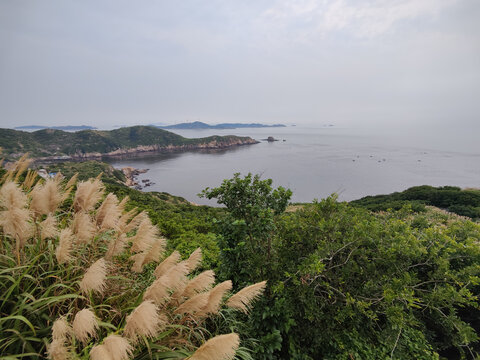 海岛舟山花鸟岛海岸线风光