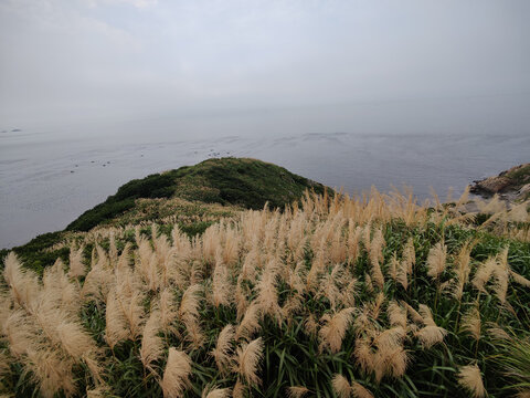 海岛舟山花鸟岛海岸线风光