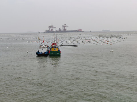 东海海洋渔船渔场