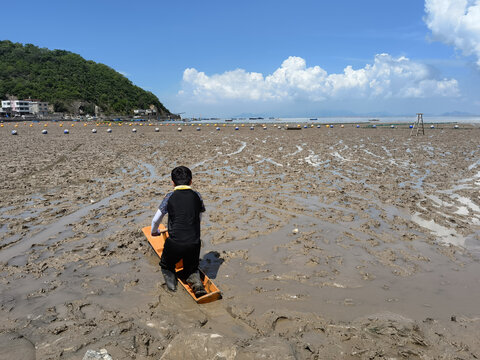 赶海的孩子