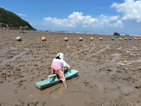 小孩子赶海
