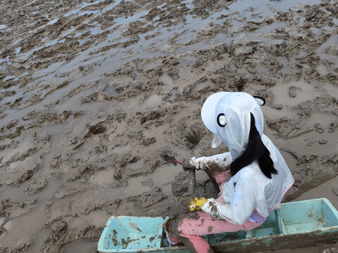 滩涂赶海