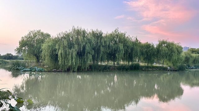 晚霞