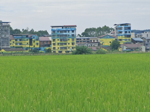 荣县赖河坝小镇