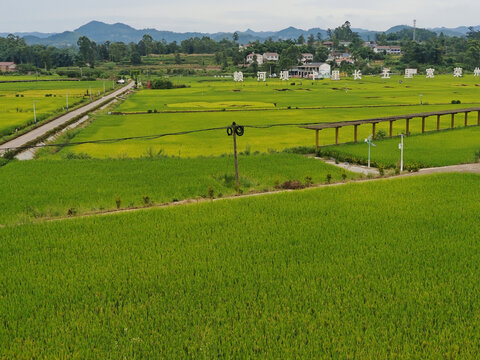 荣县赖河坝