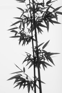 水墨竹子