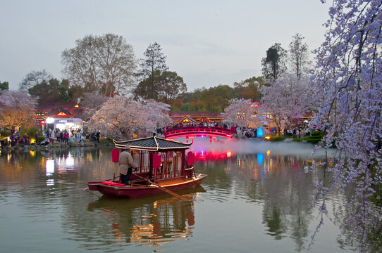 武汉樱花园夜景