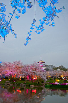 武汉樱花园夜景
