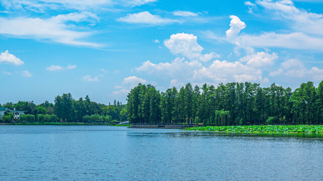 东湖风光