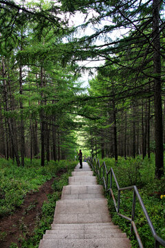 阿尔山天池登山石台阶