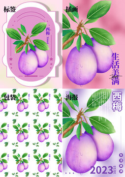 水果插画西梅包装图案